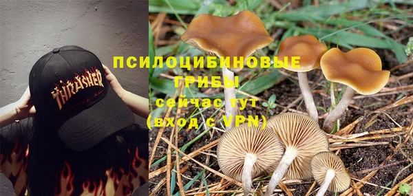 mix Липки