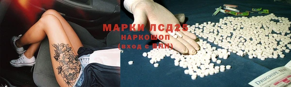 крисы Кизел